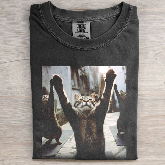 ALLEY ASANAS TEE