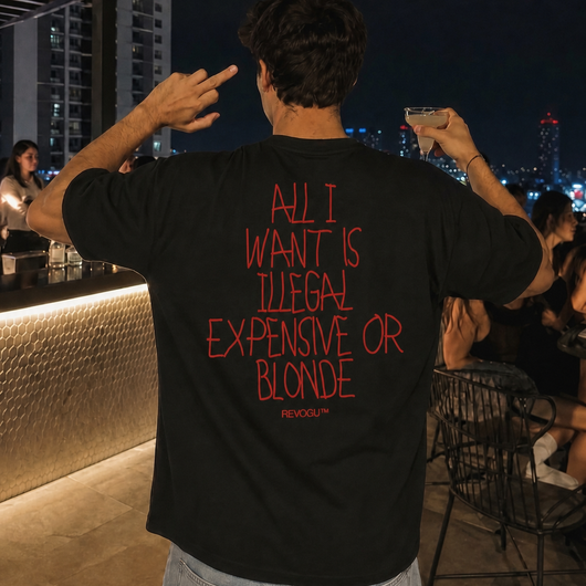 All I Want is Illegal Expensive or Blonde T-shirt