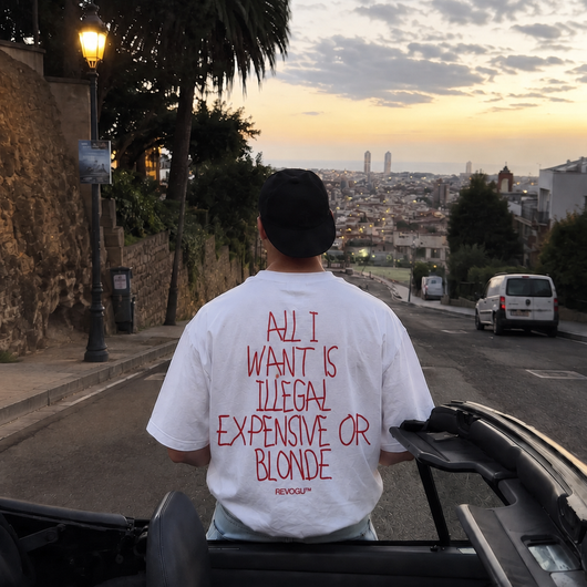 All I Want is Illegal Expensive or Blonde T-shirt