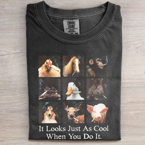 IT LOOKS JUST AS STUPID WHEN YOU DO IT TEE