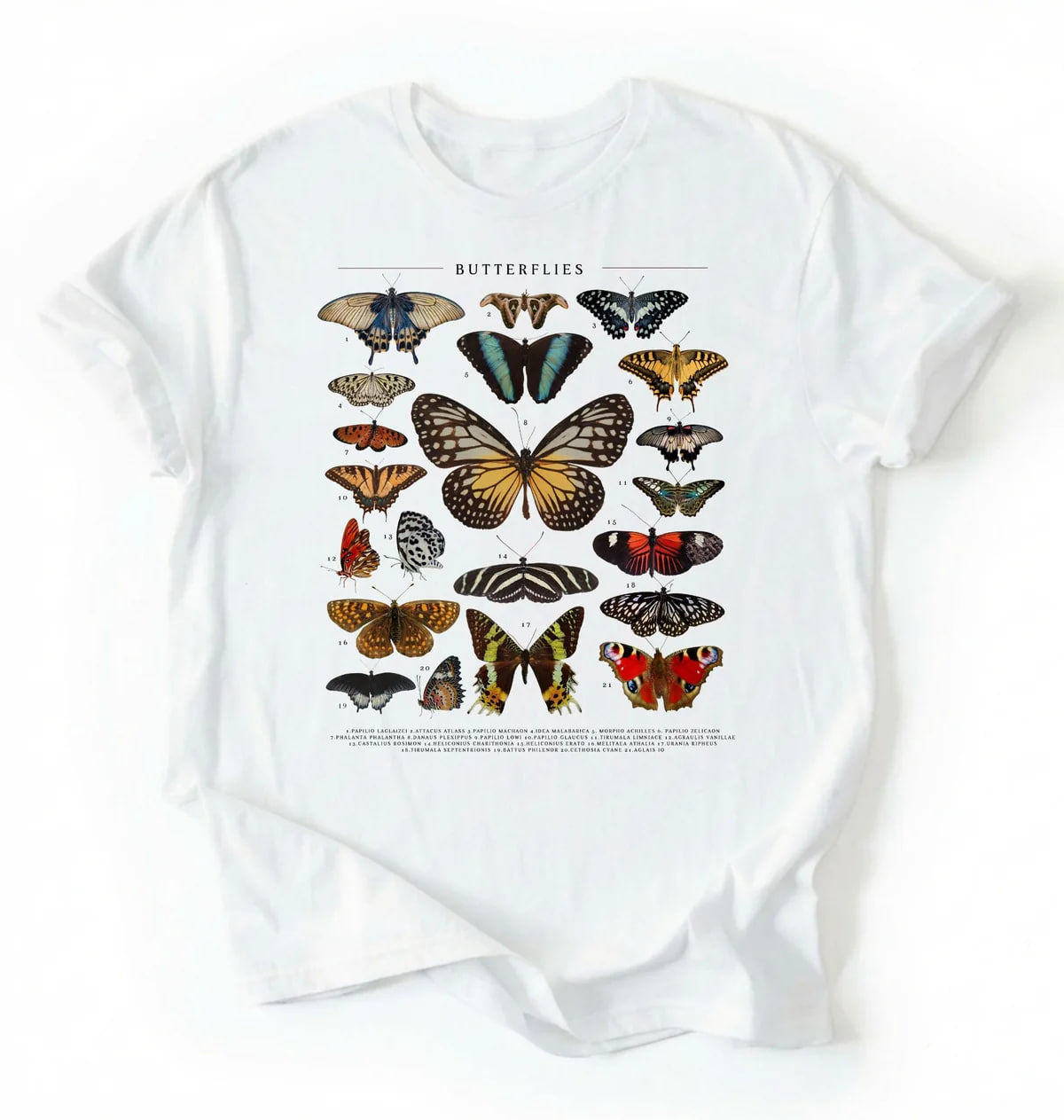 Vintage Butterfly Chart T-Shirt | Nature Lover Butterfly Gift