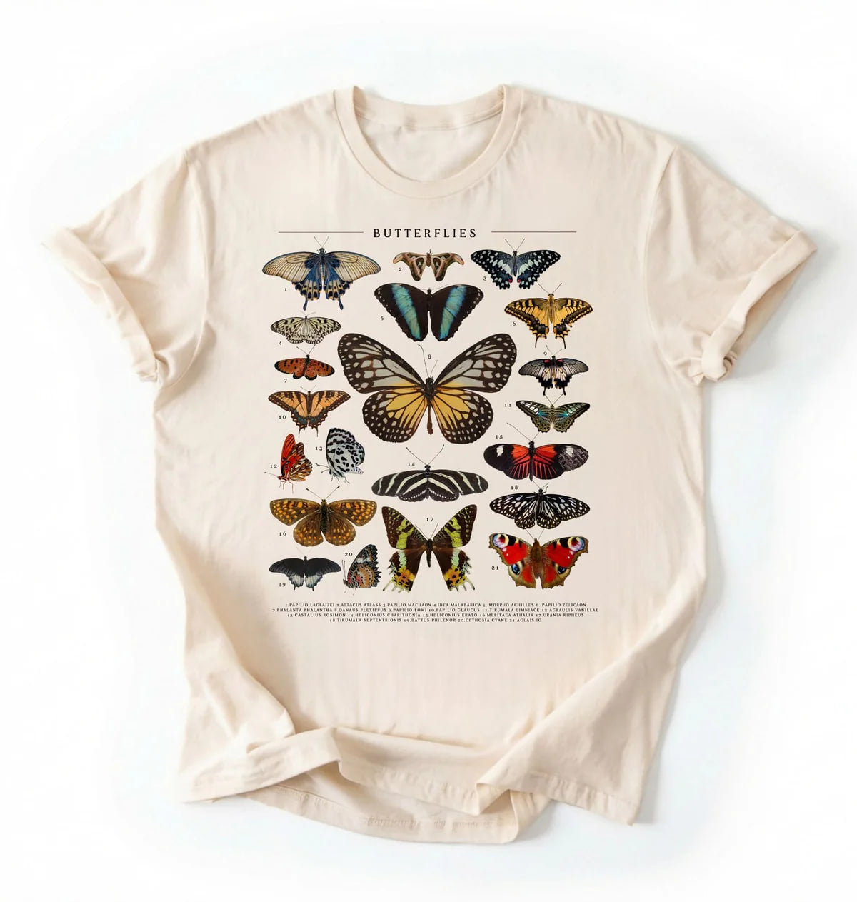 Vintage Butterfly Chart T-Shirt | Nature Lover Butterfly Gift
